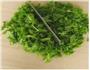 荠菜豆腐羹的做法图解1