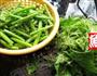 蒜茸炒瓜远的做法图解3