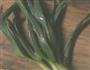 大白菜炒粉丝的做法图解3