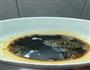 醋溜白菜的做法图解3