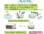 鲜奶炖蛋的做法图解1