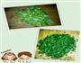 菠菜葱油饼的做法图解2
