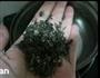 茶香鹌鹑蛋的做法图解3