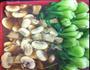 蘑菇青菜的做法图解1