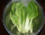 冬日小清新-油菜烧豆泡的做法图解1