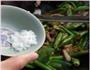 杭椒牛柳的做法图解6