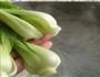 牛肉板面的做法图解13