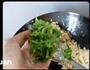 辣白菜鱿鱼炒饭的做法图解7