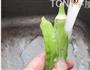 凉拌菜的做法图解1