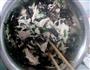 鸡丝凉面的做法图解6