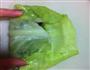 剩下的饺子馅不用愁-包菜饺子的做法图解3