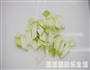 西蓝鱿鱼花的做法图解2
