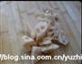 酒香贵妃翅的做法图解4