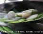 橄菜四季豆炒年糕的做法图解5