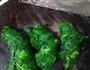 上海菜肉馄饨的做法图解6
