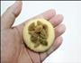 果仁饼的做法图解2