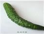青蛇送瑞的做法图解4