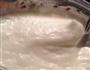 戚风蛋糕 chiffon cake的做法图解3