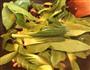 香菇油菜的做法图解4