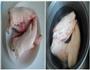 腐乳烧猪蹄的做法图解1
