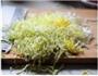 凉拌蔬菜的做法图解1