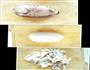 产妇进补汤品-莲藕玉米排骨汤的做法图解2
