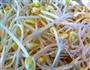 培根炒黄豆芽蒜苗的做法图解3
