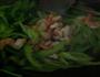 芹菜虾仁的做法图解4