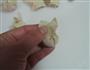 茄汁馄饨的做法图解5