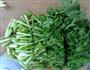 苔菜炖豆腐的做法图解1
