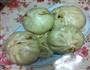 腊肉包子的做法图解7