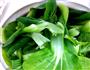杏鲍菇炒油菜的做法图解3