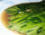 清炒空心菜的做法图解3