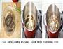 无水版白灼虾的做法图解1