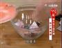 豉汁蒸魚頭的做法图解5