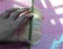 玫瑰花馒头的做法图解8