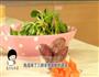 彩虹蔬菜面的做法图解1