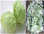包菜猪肉饺的做法图解1