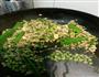 孜然味蒜薹肉沫的做法图解6