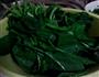 波菜牛肉粉丝汤的做法图解7
