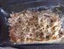 蘑菇鸡肉芝士焗饭 Chicken Casserole的做法图解7
