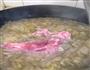 酸菜粉条肉的做法图解7