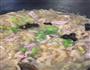 酸菜粉条肉的做法图解8