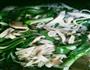 大蒜千张炒腌咸肉的做法图解2