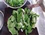 青菜千张的做法图解1