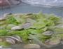感冒食谱-大白菜炖蘑菇的做法图解3