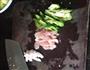 青椒肉片炒小南瓜的做法图解1