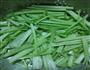 干煸茶树菇芹菜的做法图解1