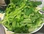 家常小炒芹菜肉丝的做法图解1