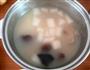 鸡汤小火锅的做法图解5